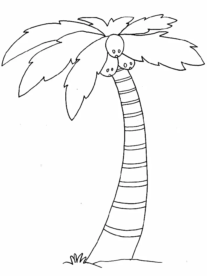 Palm Leaf Coloring Pages 31