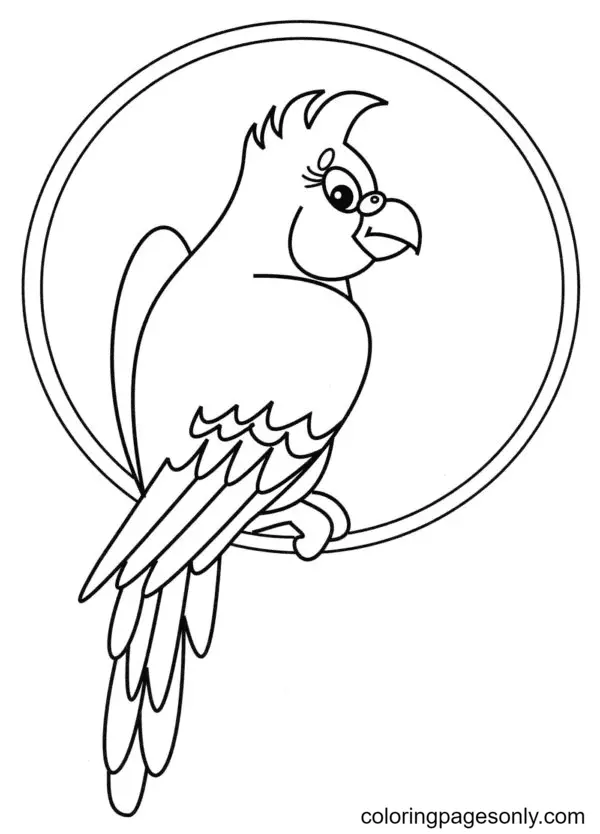 Papagei Ausmalbilder 72