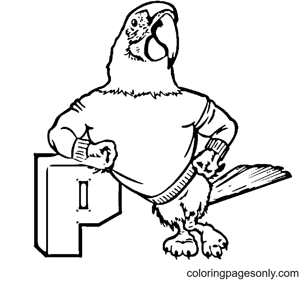Parrot Coloring Pages 75