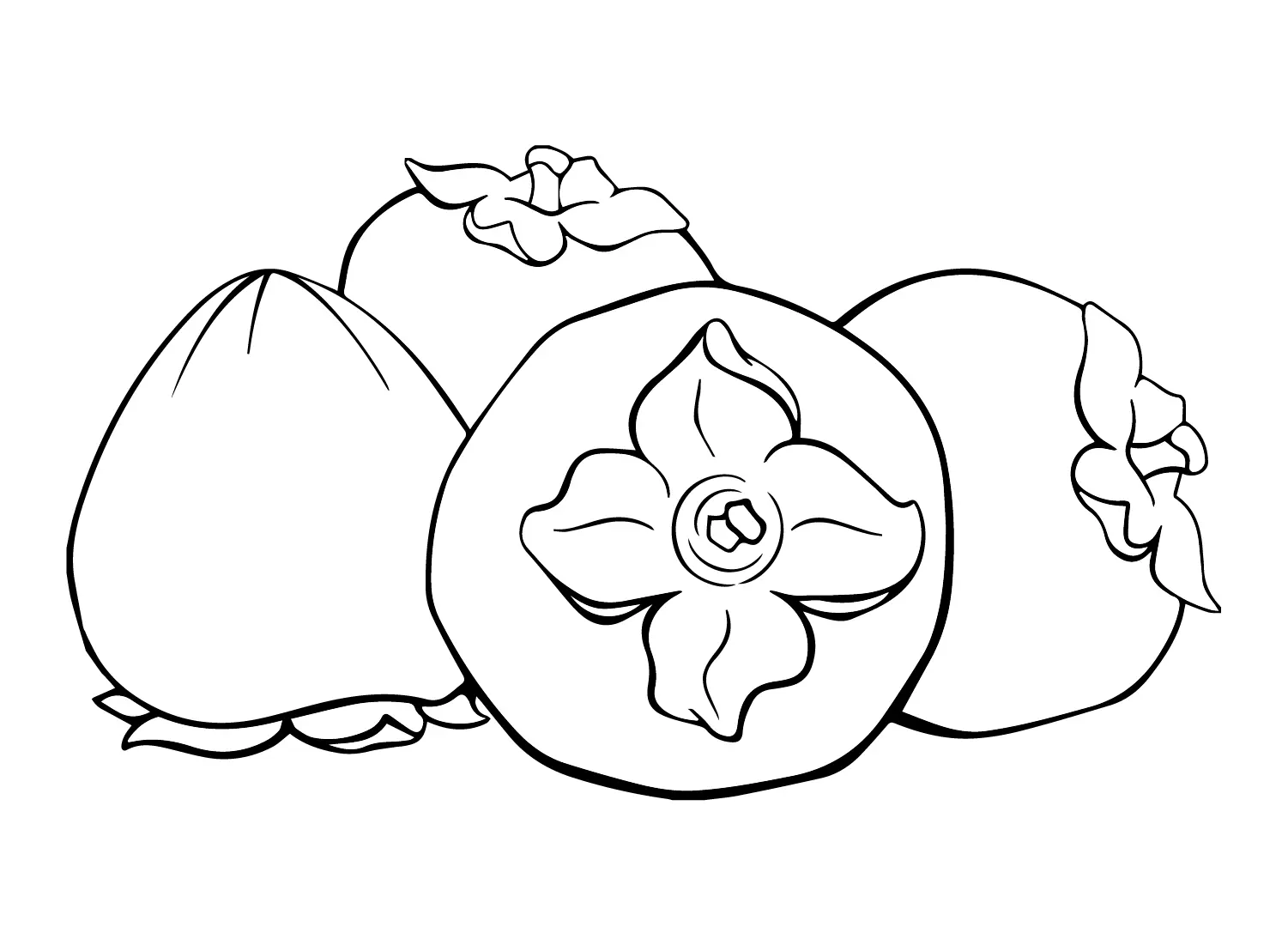 Desenhos de Caqui Para Colorir 24