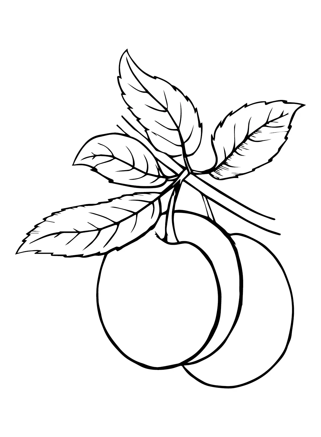 Plums Coloring Pages 9