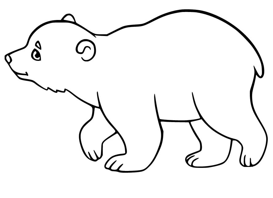 Polar Bear Coloring Pages 19