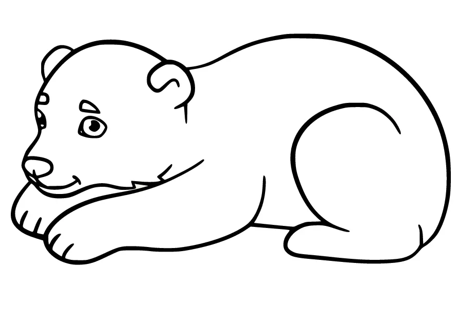 Polar Bear Coloring Pages 24