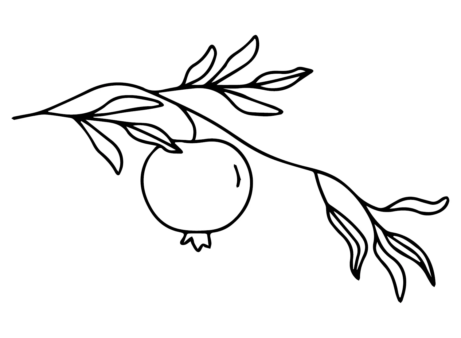 Desenhos de Roma Para Colorir 25