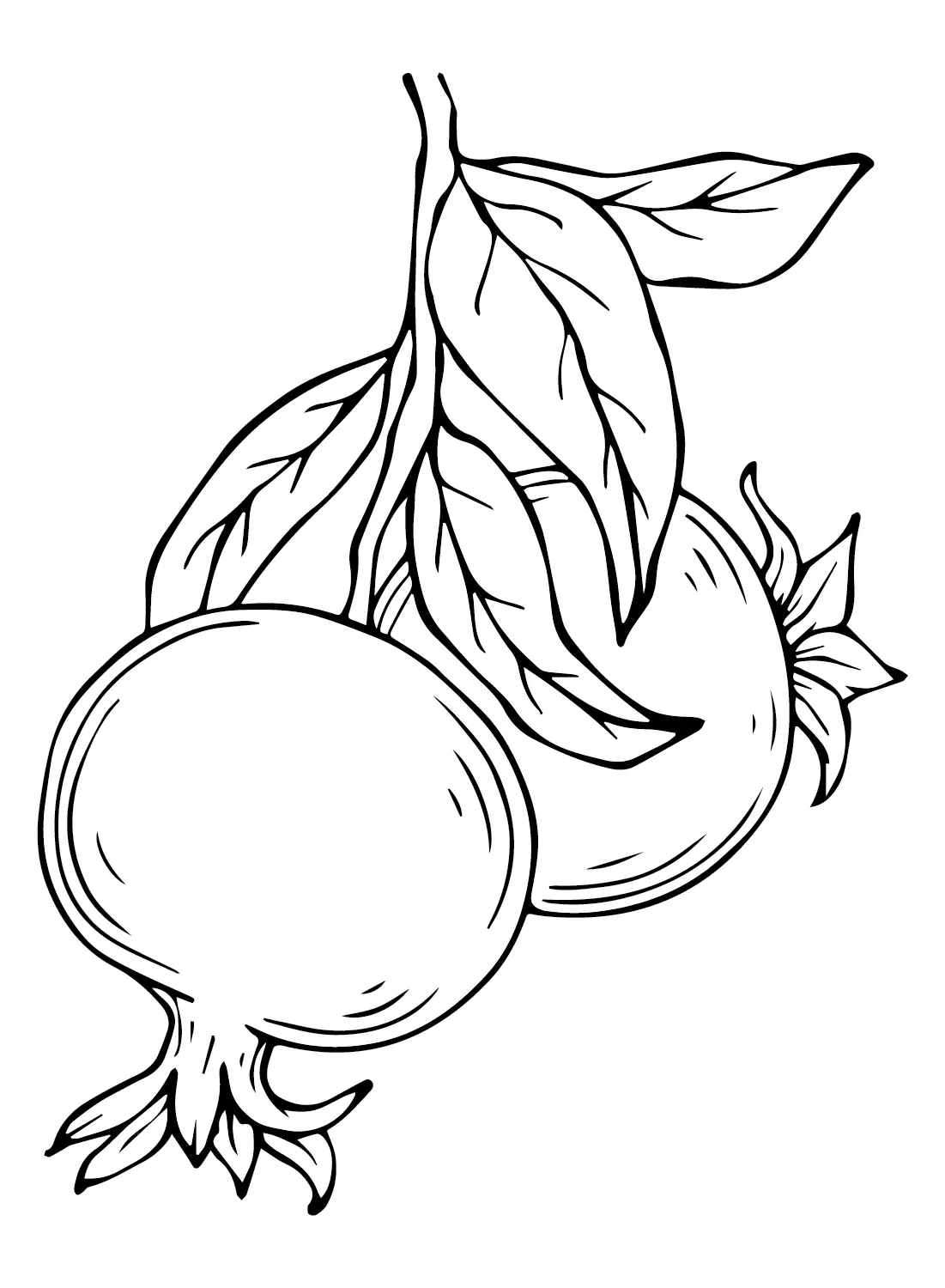 Desenhos de Roma Para Colorir 6