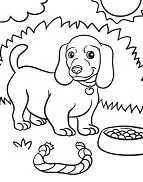 Desenhos de Filhotes desenhos Para Colorir 8