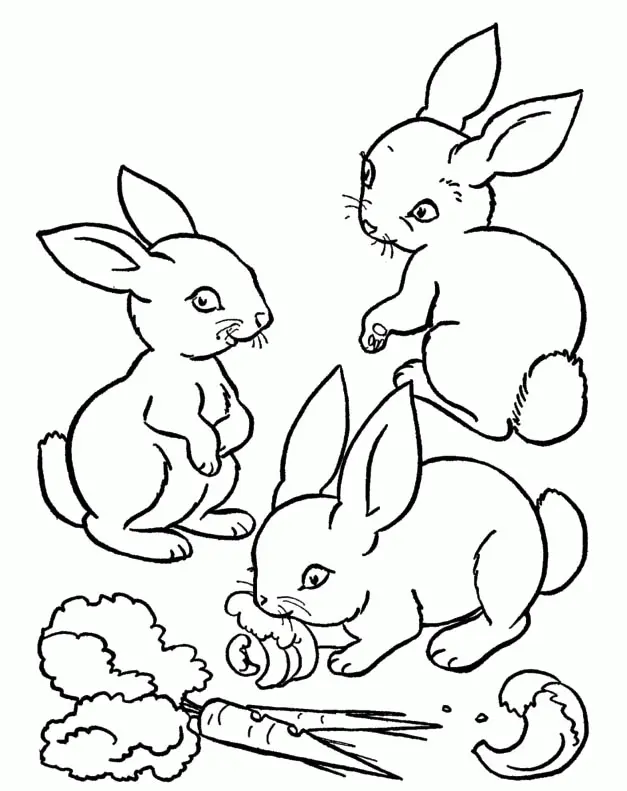 Rabbit Coloring Pages 10