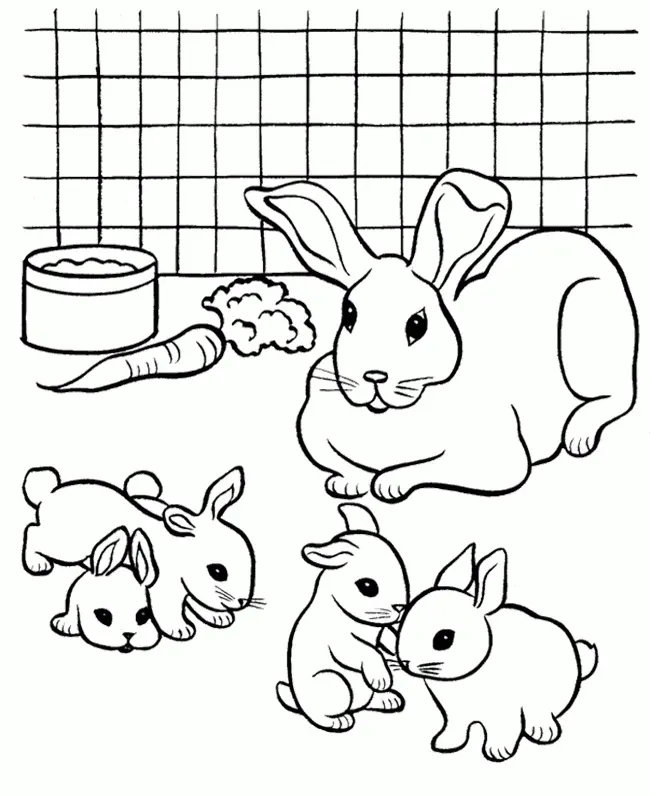 Rabbit Coloring Pages 15