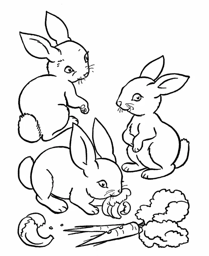 Rabbit Coloring Pages 17