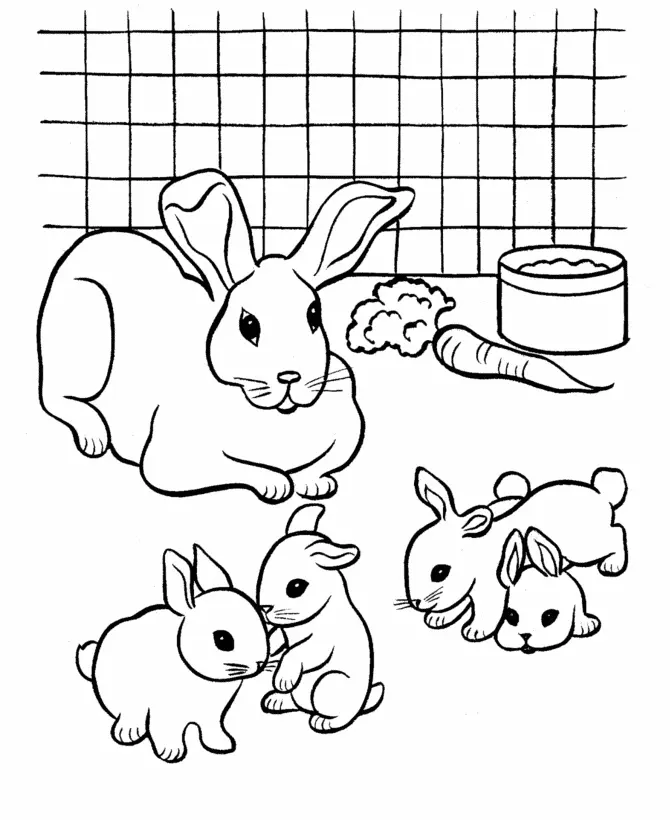 Rabbit Coloring Pages 22