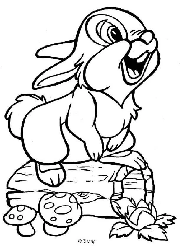 Rabbit Coloring Pages 24