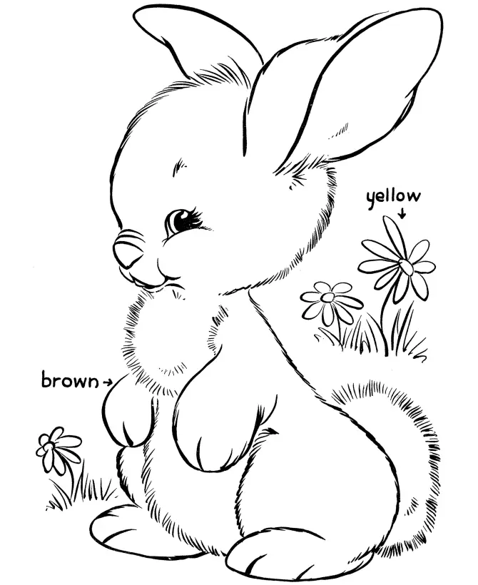 Rabbit Coloring Pages 37