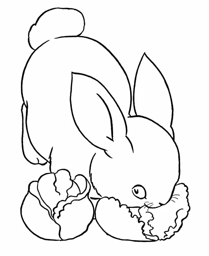 Rabbit Coloring Pages 39