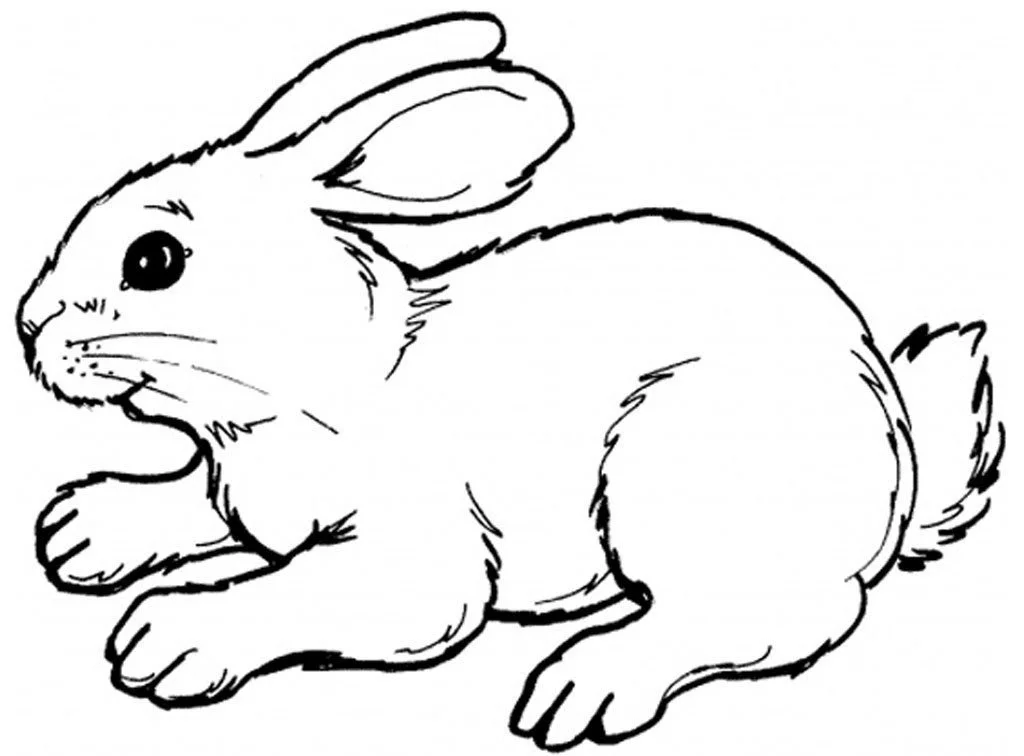Rabbit Coloring Pages 42