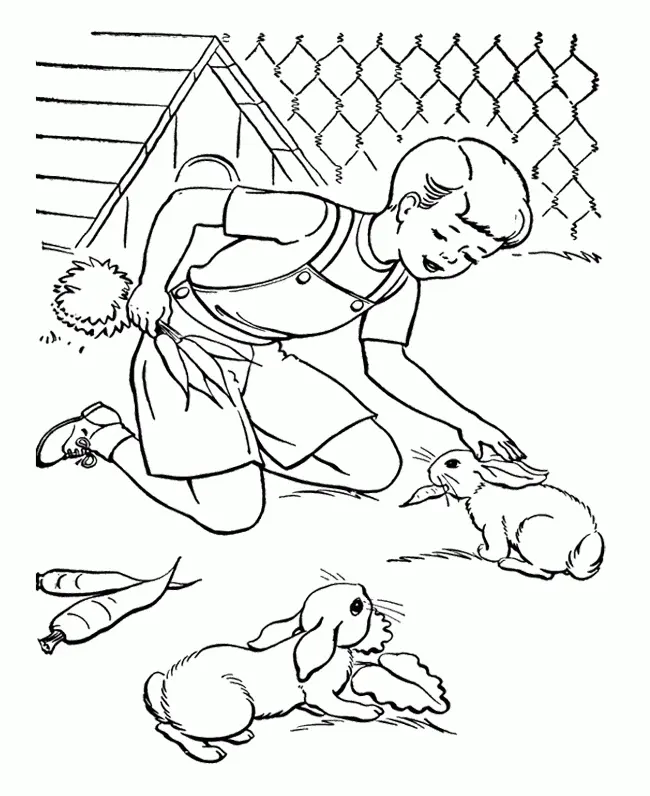 Rabbit Coloring Pages 47