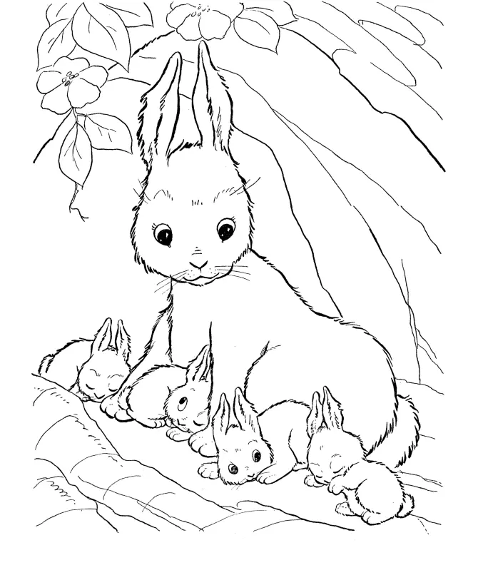 Rabbit Coloring Pages 8