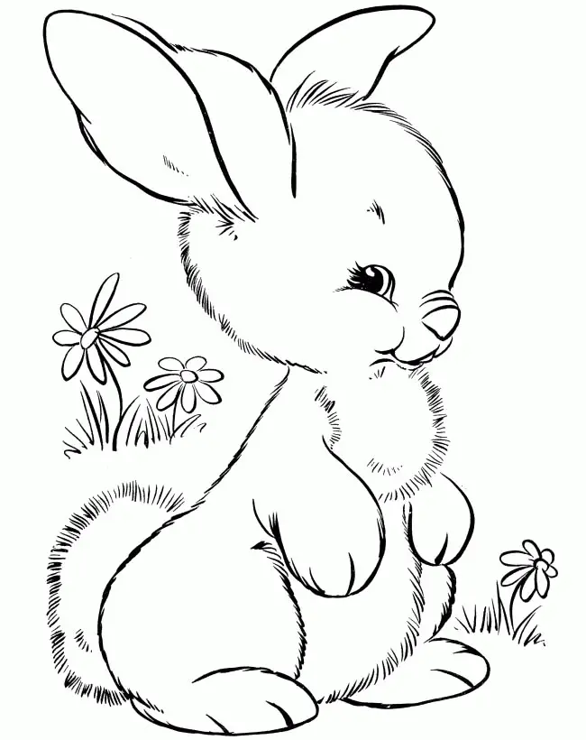 Rabbit Coloring Pages 9