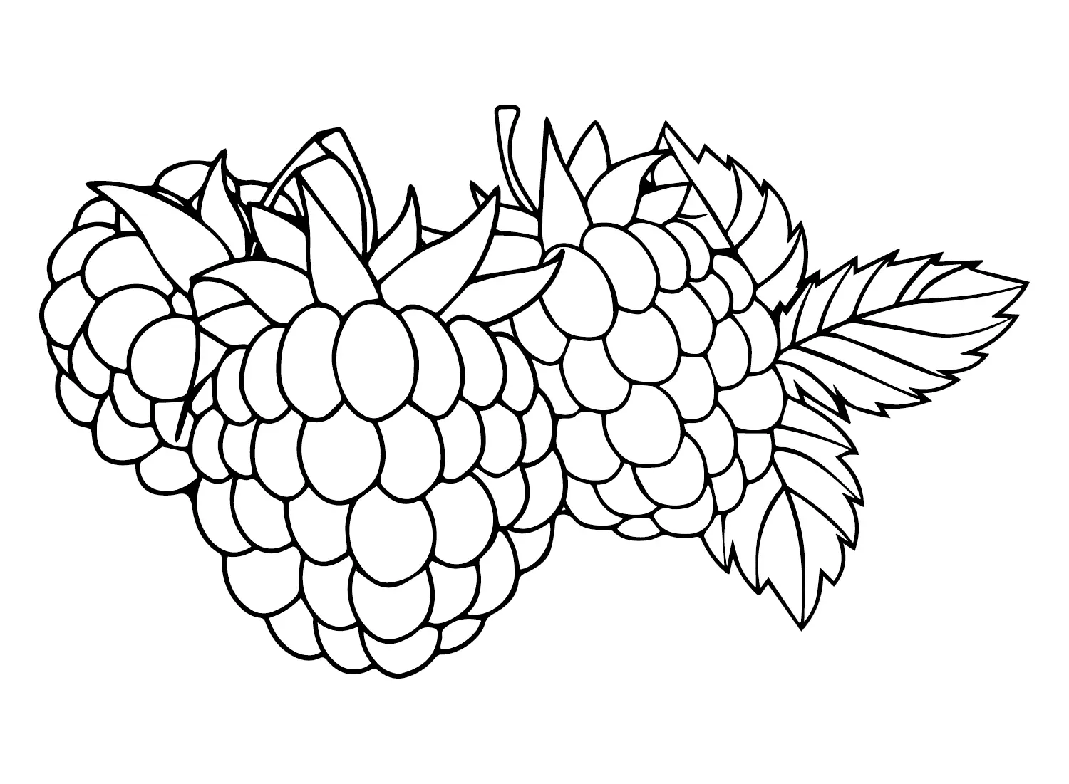 Raspberry Coloring Pages 10