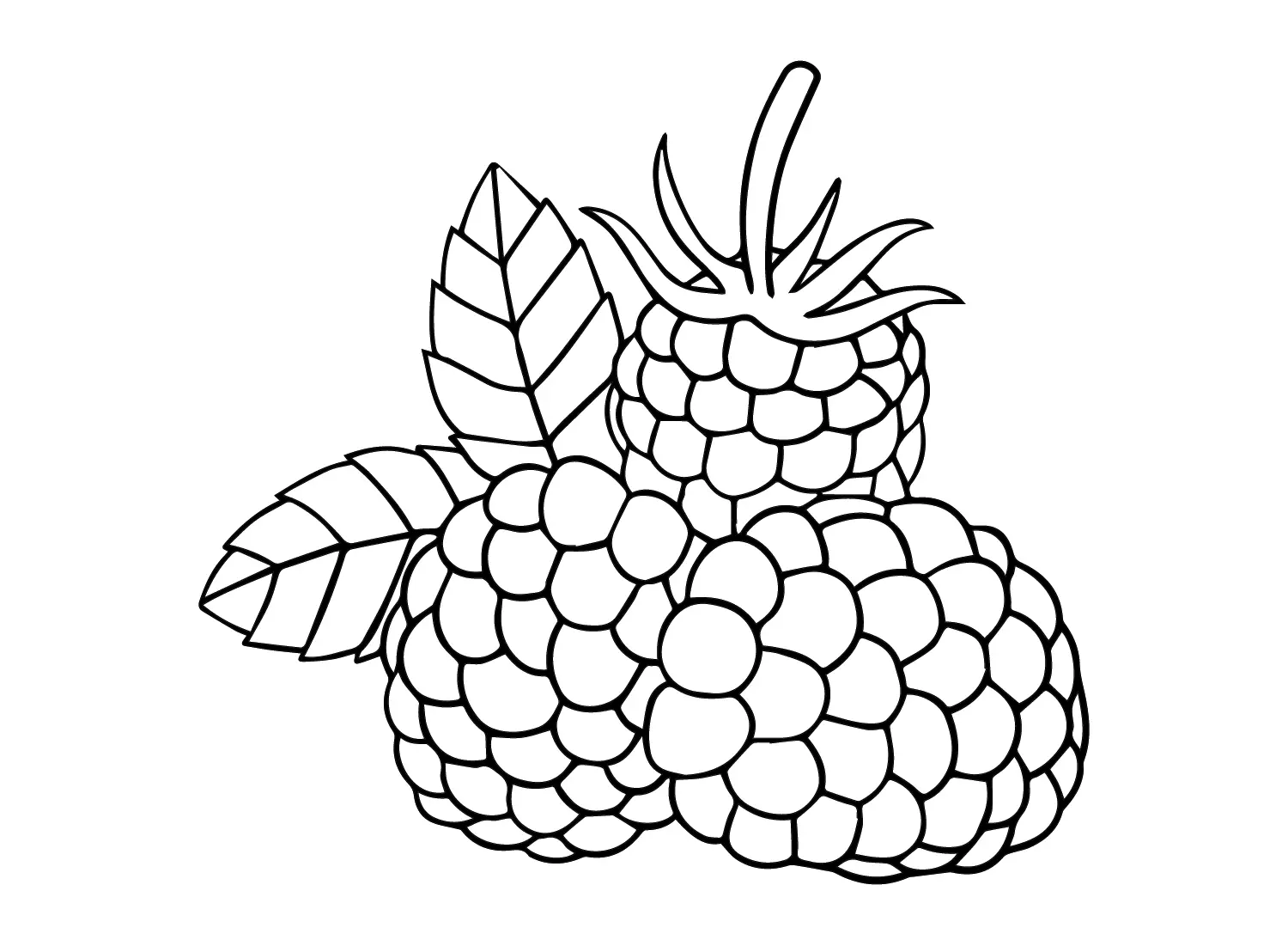 Raspberry Coloring Pages 14