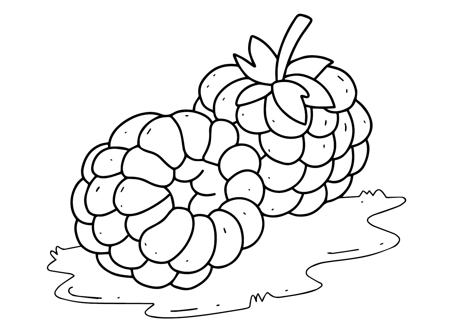 Raspberry Coloring Pages 6