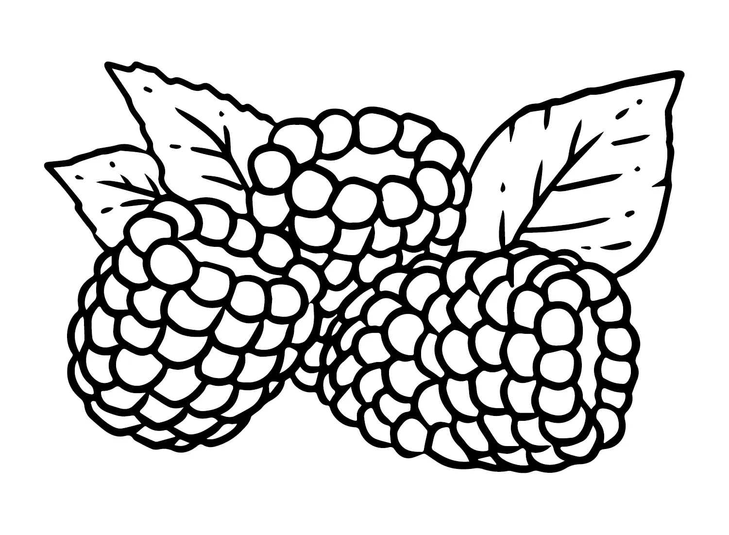 Raspberry Coloring Pages 8