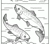 Rio Para Colorear 61