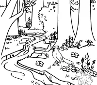 Rio Para Colorear 65