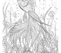 Rio Para Colorear 72