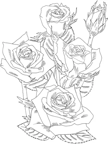 Rosen Ausmalbilder 41