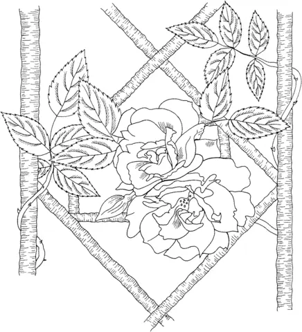 Rosen Ausmalbilder 91