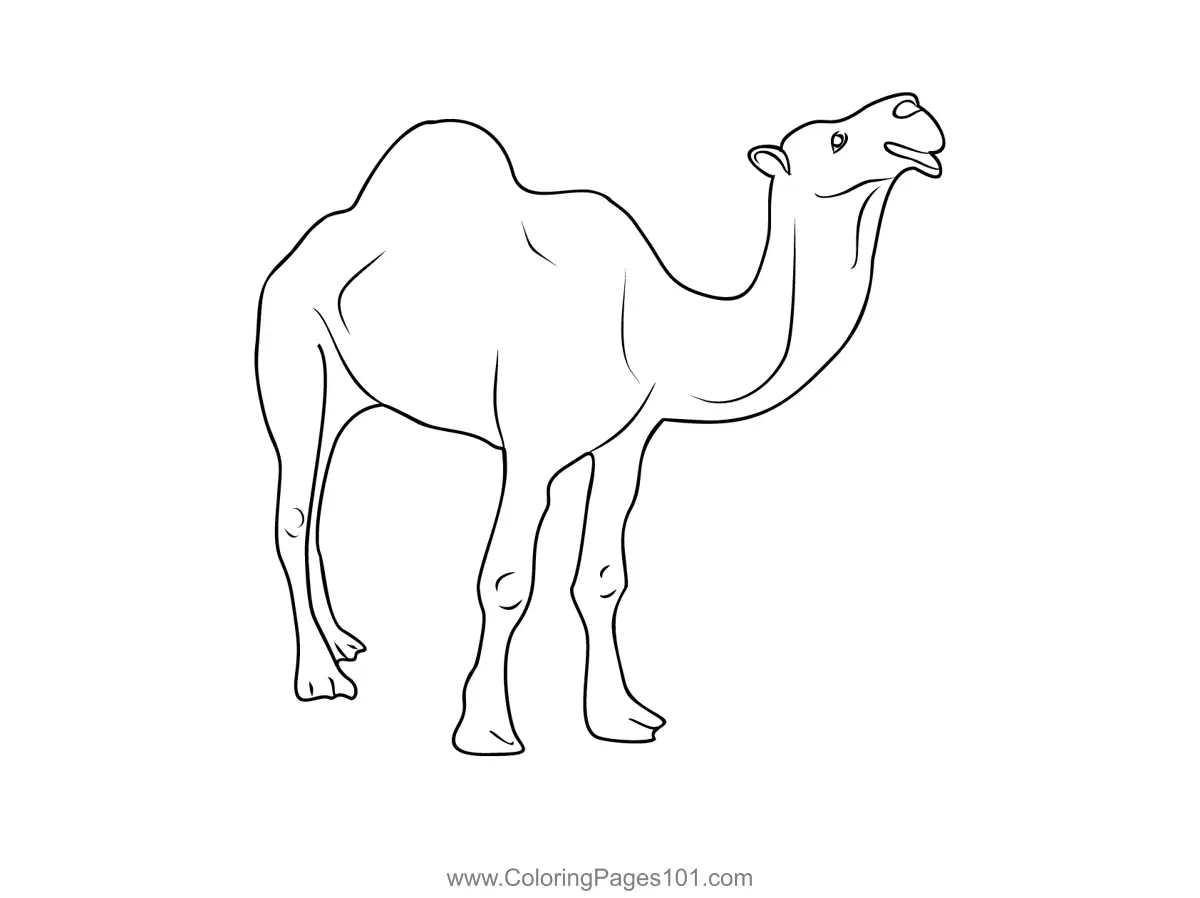 Saudi Arabia Coloring Pages 2