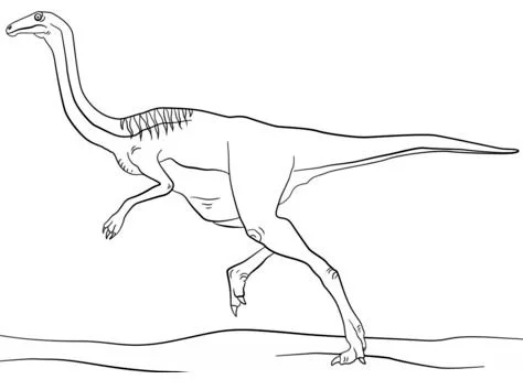 Desenhos de Dinossauros Saurisquios Para Colorir 12