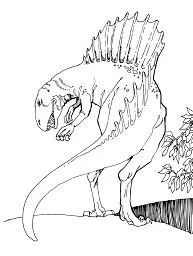 Desenhos de Dinossauros Saurisquios Para Colorir 14