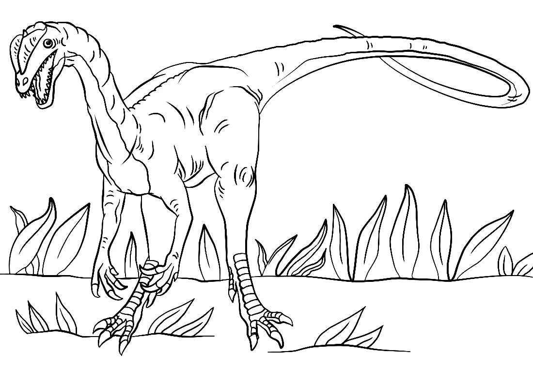 Desenhos de Dinossauros Saurisquios Para Colorir 2