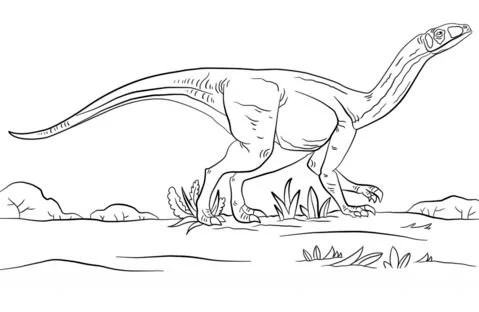 Desenhos de Dinossauros Saurisquios Para Colorir 21