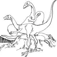 Desenhos de Dinossauros Saurisquios Para Colorir 24