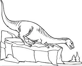 Desenhos de Dinossauros Saurisquios Para Colorir 28