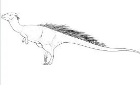 Desenhos de Dinossauros Saurisquios Para Colorir 30