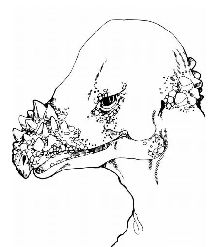 Desenhos de Dinossauros Saurisquios Para Colorir 33