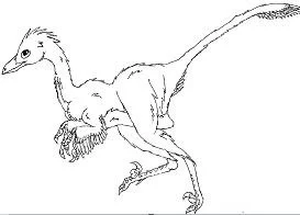 Desenhos de Dinossauros Saurisquios Para Colorir 6