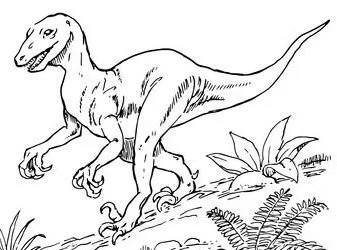 Desenhos de Dinossauros Saurisquios Para Colorir 8