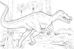 Desenhos de Dinossauros Saurisquios Para Colorir 9