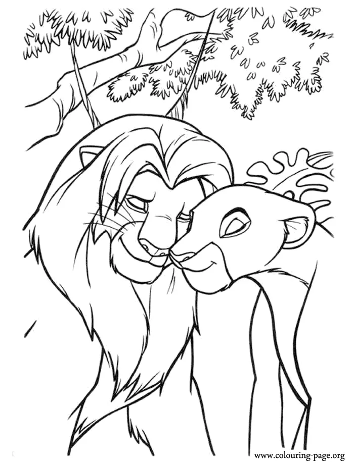 Simba Coloring Pages 1