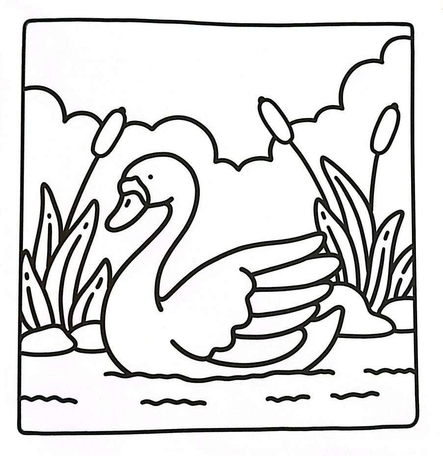 Arte Simples para Colorir 42