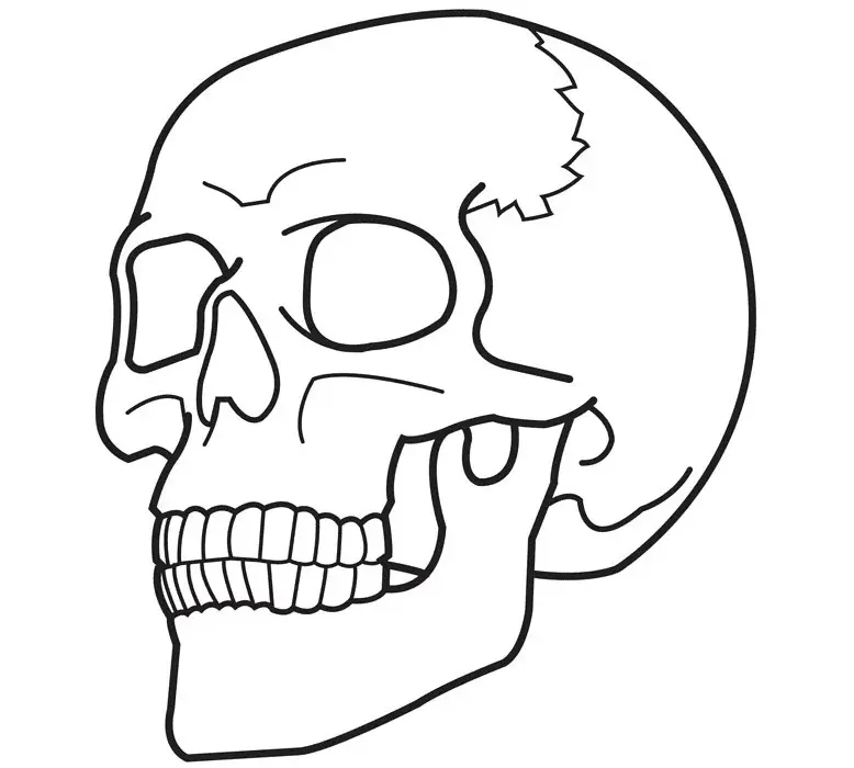 Skull Coloring Pages 5