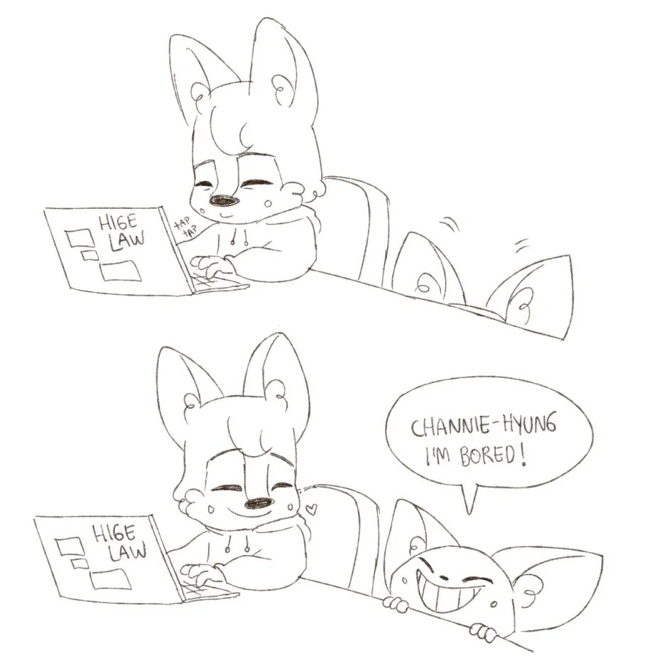 Skzoo Para Colorear 14