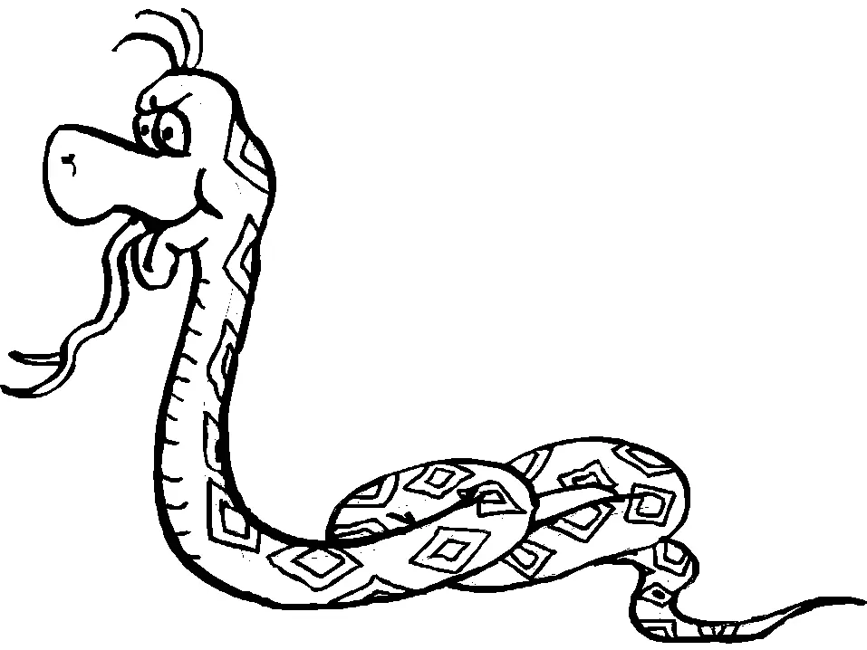 Snake Coloring Pages 13