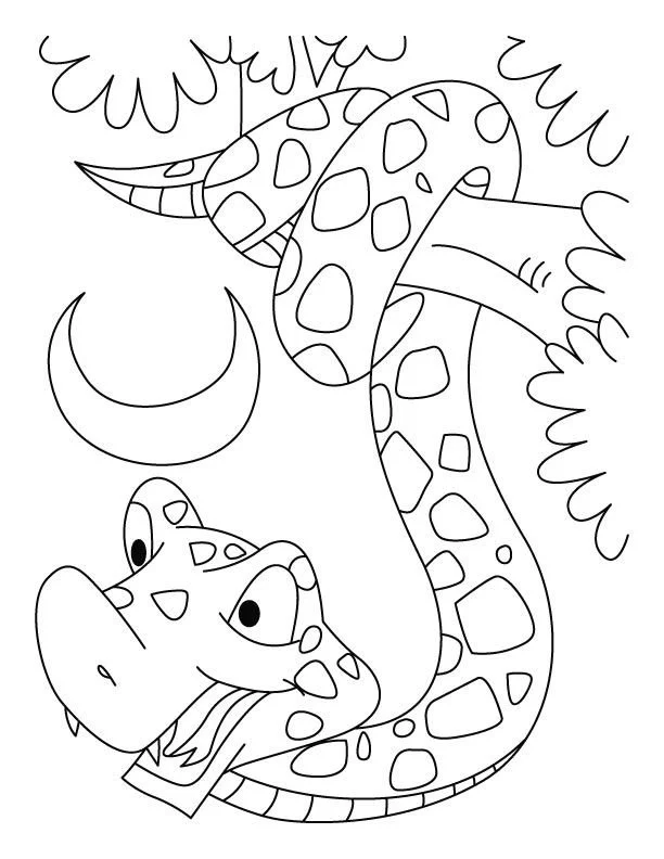 Snake Coloring Pages 25
