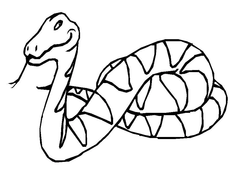 Snake Coloring Pages 38