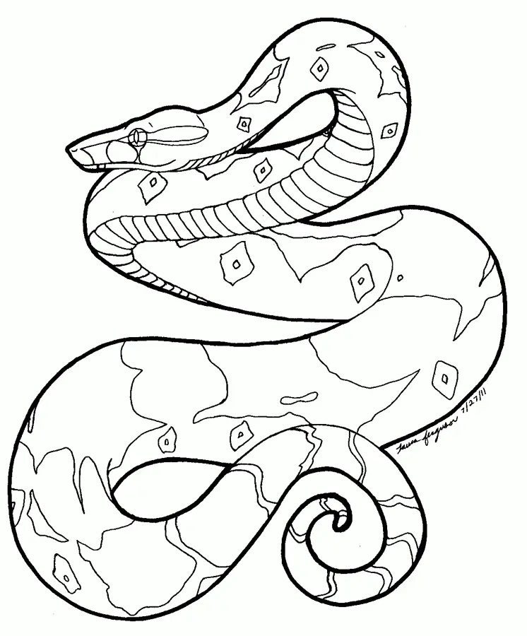 Snake Coloring Pages 47